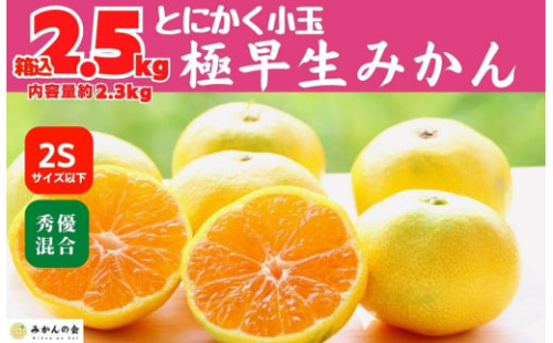 小玉みかん 極早生 箱込 2.5kg (内容量約 2.3kg) 2Sサイズ以下 秀品 優品 混合 有田みかん 和歌山県産 【みかんの会】　 1115648 - 和歌山県有田川町