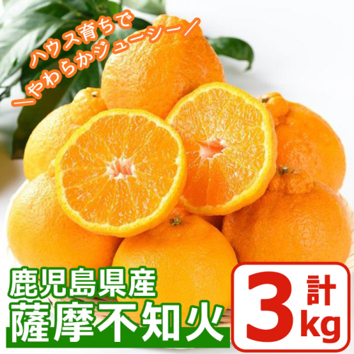 No.146 ＜先行予約受付中！2026年1月中旬～2月下旬までの間に発送＞《期間・数量限定》鹿児島県産！薩摩不知火(3kg) みかん 不知火 柑橘 フルーツ 果実 鹿児島 ギフト 贈答【黒川農園】 1115686 - 鹿児島県日置市