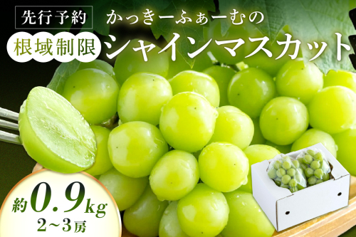 【先行予約】根域制限シャインマスカット 約0.9kg 2～3房《2025年9月中旬頃から発送》果物 シャインマスカット  【183_1873】 1115704 - 島根県浜田市