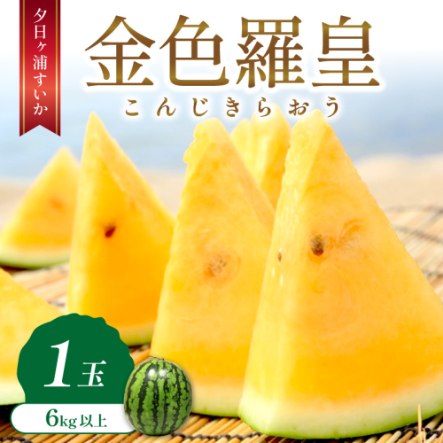 【先行予約／数量限定50】夕日ヶ浦すいか（金色羅皇） 1玉（2026年7月中旬～発送）果物 くだもの スイカ 西瓜  ふるさと納税 スイカ ふるさと納税 先行予約 フルーツ ふるーつ 甘い 京都 丹後 高級
 1115707 - 京都府京丹後市