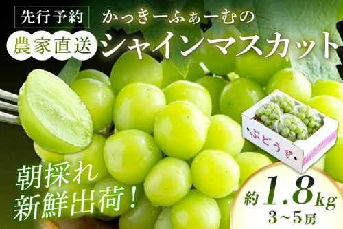 【先行予約】根域制限シャインマスカット 約1.8kg 3～5房《9月中旬頃から発送》果物 シャインマスカット 【183_1882】 1115708 - 島根県浜田市