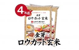 【ふるさと納税】金芽ロウカット玄米4kg（2kg×2袋） 099H2305