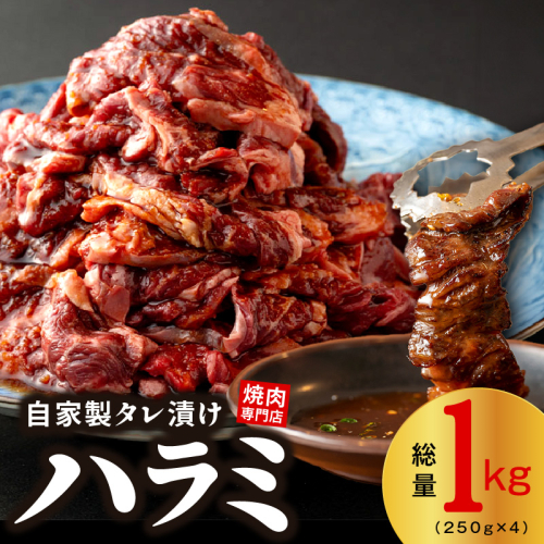 焼き肉専門店 自家製タレ漬け ハラミ 合計1kg（250g×4） 015B472 1115775 - 大阪府泉佐野市