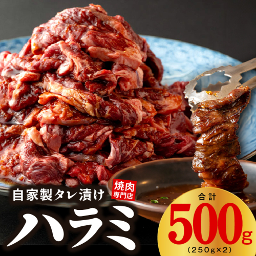 焼き肉専門店 自家製タレ漬け ハラミ 合計500g（250g×2） 099H3564 1115780 - 大阪府泉佐野市
