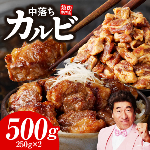 焼き肉専門店 自家製タレ漬け 中落ちカルビ 合計500g（250g×2） 099H3565 1115781 - 大阪府泉佐野市