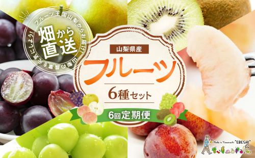 【先行受付】【6回定期便】 フルーツ王国 山梨県産 6種セット ／ えべし フルーツ 果物 くだもの 貴陽 すもも もも 桃 梨 なし ぶどう ブドウ 葡萄 シャインマスカット キウイ 新鮮 果実 産地直送 山梨県 中央市 【2026年6月中旬-2027年1月下旬発送予定】 1116151 - 山梨県中央市