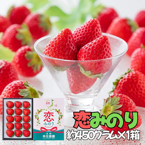 【贈答品】 特別栽培イチゴ 恋みのり 化粧箱（450g）× 1箱　12月下旬～4月発送：B145-030 1116261 - 佐賀県佐賀市