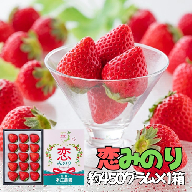 【贈答品】 特別栽培イチゴ 恋みのり 化粧箱（450g）× 1箱　12月下旬～4月発送：B145-030