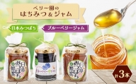 日本みつばちの「ハチミツ」＜非加熱＞とハチミツのみで加糖したブルーベリージャムのセット【1452017】