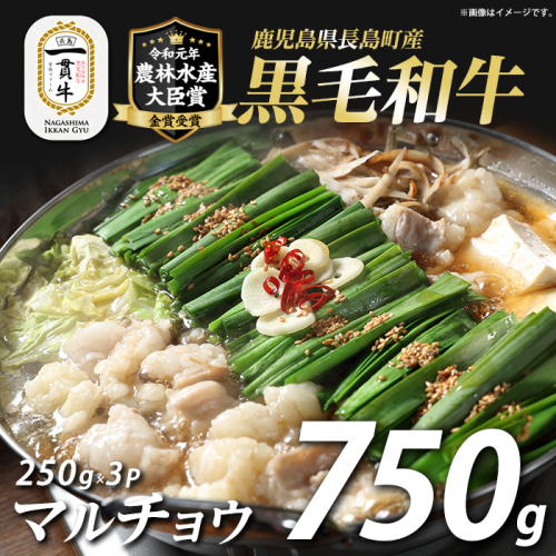 和牛カット済ホルモン（マルチョウ）250g×3パック 計750g ホルモン 牛肉 丸腸 焼肉 ホルモン 牛もつ もつ鍋 f-miyaji-7028 111643 - 鹿児島県長島町
