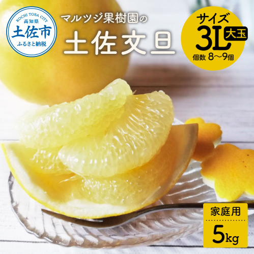 【先行予約受付】文旦 約5kg 3Lサイズ8～9個 家庭用  1116493 - 高知県土佐市
