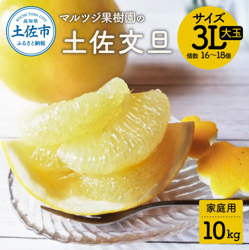 【先行予約受付】文旦 約10kg 大玉 家庭用 サイズ3L 16～18個 産 ご自宅用 1116530 - 高知県土佐市