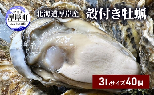 北海道 厚岸産 殻付き 牡蠣 3Lサイズ 40個 1116537 - 北海道厚岸町