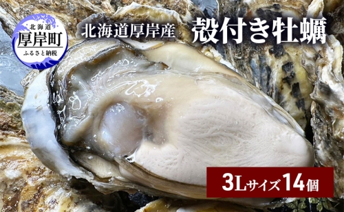 北海道 厚岸産 殻付き 牡蠣 3Lサイズ 14個 1116540 - 北海道厚岸町
