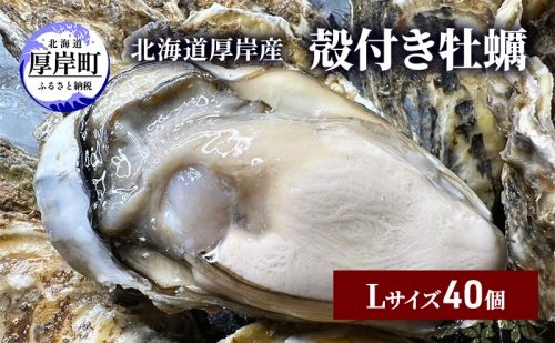 北海道 厚岸産 殻付き 牡蠣 Lサイズ 40個 1116544 - 北海道厚岸町