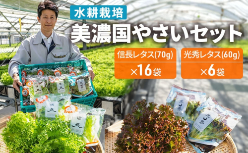 美濃国やさいセット 野菜 野菜セット レタス フリルレタス 水耕栽培 安全 安心 衛生的 新鮮 シャキシャキ 産地直送 サラダ サンドイッチ 111695 - 岐阜県瑞穂市