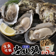 京都・京丹後産　鮮度抜群！濃厚肉厚岩牡蠣（生食用）約5kg（約10個）（殻付き・かんかん入り・冷蔵・ナイフ付き）