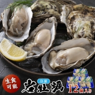 京都・京丹後産　鮮度抜群！濃厚肉厚岩牡蠣（生食用）12個入り（個別包装・冷凍）