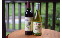 塩尻一帯の自社農園・契約農家収穫したぶどうを、酸化防止剤などを一切使用しないで醸造したフレッシュでフルーティーなワインです。【コンコード赤中口】個性的な果実味があり、軽やかな口当たりの良いワイン。【ナ