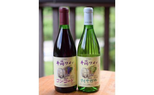 井筒ワイン 無添加ワイン 甘口セット（赤・白）