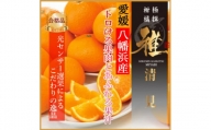 極撰柑橘“雅"光センサー合格品・完熟で果汁が多い「清見」3キロ[C39-56]