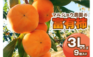 [年内発送][先行予約]令和6年産[柿の王様]マルジョウ農園 富有柿 3L サイズ 9個入り [1382] かき 富有柿 ふゆうがき フルーツ カキ 果物 くだもの 産地直送 岐阜県 本巣市 年内配送 年内お届け