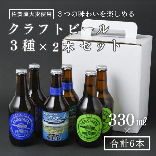 〈アームストロング〉クラフトビール6本セット：B205-001 1117205 - 佐賀県佐賀市