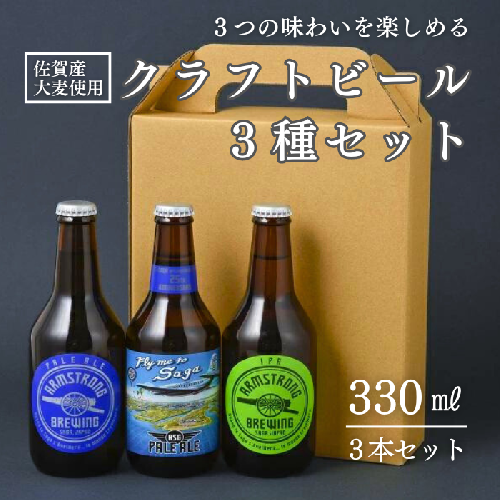 〈アームストロング〉クラフトビール3本セット：B014-031 1117206 - 佐賀県佐賀市