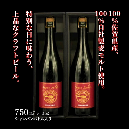 佐賀のクラフトビール〈サガン・サリュート〉ストロングバーレー 2本組：B245-005 1117207 - 佐賀県佐賀市