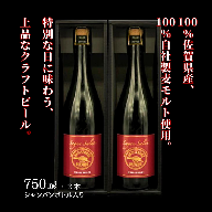 佐賀のクラフトビール〈サガン・サリュート〉ストロングバーレー 2本組：B245-005