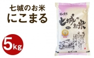 熊本県産 七城のお米 にこまる 5kg 米 白米 精米 菊池米食味コンクール金賞受賞