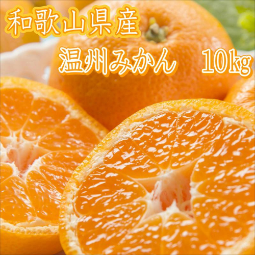 和歌山県産 温州みかん 10kg《先行予約》 111736 - 和歌山県御坊市