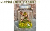 No.356 レトロなお菓子瓶を使った森の風景アート ／ インテリア 贈り物 自然 埼玉県