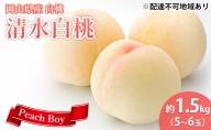 岡山県産  清水 白桃 約1.5kg（5～6玉）