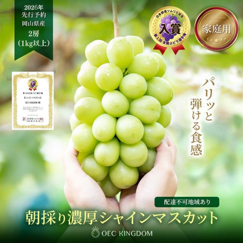 ぶどう 2026年 先行予約 ［ご家庭用］ シャイン マスカット 2房（合計1kg以上） ブドウ 葡萄 岡山県産 国産 フルーツ 果物 OEC KINGDOM ぶどう家 果物類  111746 - 岡山県里庄町