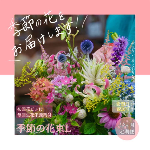 t159tmf　《12ヵ月定期便》生花花束 ブーケ 初回花瓶付L 定期便 定期コース 全12回 初回花瓶付き 延命剤付き 花びん 生花 花束 ブーケ 花 お花 可愛い キレイ おしゃれ 季節のお花 供花 お供え
 1117550 - 高知県芸西村