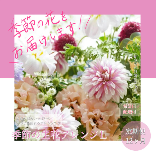 t165tmf　《12ヵ月定期便》おすすめ生花アレンジメントL 定期便 定期コース 全12回 フラワーアレンジメント そのまま飾れる 生花 花束 花 お花 おすすめ 可愛い キレイ おしゃれ 季節のお花 供花 お供え
 1117557 - 高知県芸西村