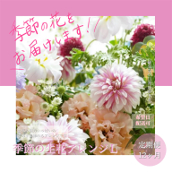 t165tmf　《12ヵ月定期便》おすすめ生花アレンジメントL 定期便 定期コース 全12回 フラワーアレンジメント そのまま飾れる 生花 花束 花 お花 おすすめ 可愛い キレイ おしゃれ 季節のお花 供花 お供え
