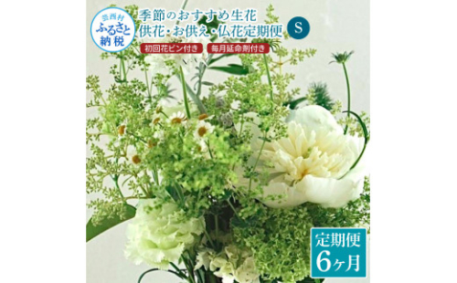 t167tmf　《6ヵ月定期便》花束一束 お供え 初回花瓶付S 定期便 定期コース 全6回 初回花瓶付き 延命剤付き 花びん 生花 仏花 供花 花束 はな 花 法要 お盆 花 おすすめ 一束 季節のお花 供花 お供え
 1117559 - 高知県芸西村