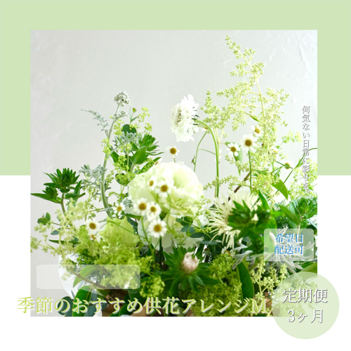 t172tmf　《3ヵ月定期便》生花アレンジ お供え 供花M 定期便 定期コース 全3回 フラワーアレンジメント そのまま飾れる お供え 花束 生花 仏花 供花 花束 はな 花 法要 お盆 季節のお花 供花 お供え
 1117575 - 高知県芸西村
