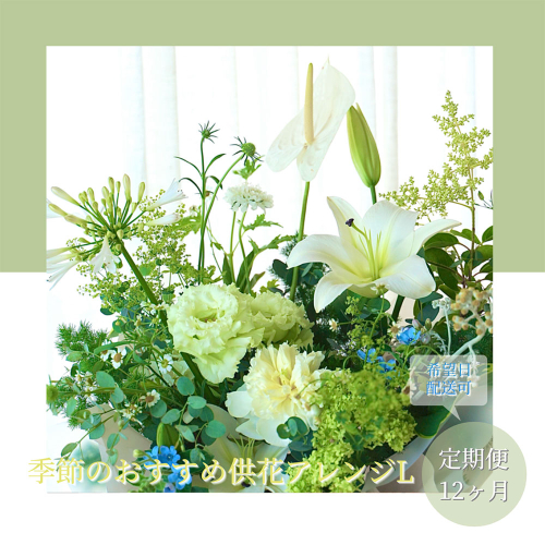 t177tmf　《12ヵ月定期便》生花アレンジ お供え 供花L 定期便 定期コース 全12回 フラワーアレンジメント そのまま飾れる お供え 花束 生花 仏花 供花 花束 花 法要 お盆 季節のお花 供花 お供え
 1117580 - 高知県芸西村