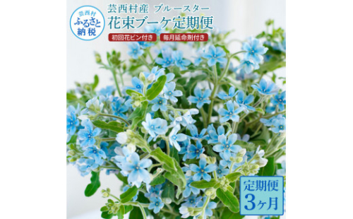 t178tmf　《3ヵ月定期便》 ブルースター 花束 初回花瓶付 定期便 定期コース 全3回 延命剤付き ラッピング 花びん 生花 花束 ブーケ 花 お花 可愛い キレイ おしゃれ 供花 お供え ギフト プレゼント
 1117604 - 高知県芸西村