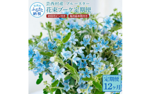 t180tmf　《12ヵ月定期便》 ブルースター 花束 初回花瓶付 定期便 定期コース 全12回 延命剤付き ラッピング 花びん 生花 花束 ブーケ 花 お花 可愛い キレイ おしゃれ 供花 お供え プレゼント
 1117606 - 高知県芸西村