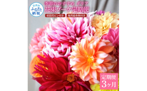 t181tmf　《3ヵ月定期便》 ダリア 花束 初回花瓶付 定期便 定期コース 全3回 延命剤付き ラッピング 花びん 生花 花束 ブーケ 花 お花 可愛い キレイ おしゃれ 供花 お供え ギフト プレゼント 1117607 - 高知県芸西村