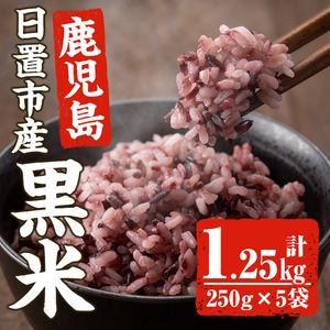 No.466 日置市産宮田黒米(計1.25kg・250g×5袋) 国産 九州産 お米 黒米 小分け 玄米 雑穀米 古代米 ご飯 ごはん【末永商店】 111770 - 鹿児島県日置市