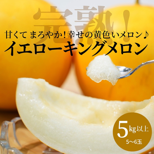 【2026年発送】完熟！イエローキングメロン 5kg以上(5玉～6玉)　H141-017 111771 - 愛知県碧南市