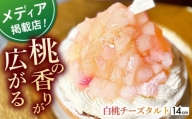 【着日指定 可能】白桃チーズタルト1ホール(14cm)【心優　－Cotoyu Sweets－】 [KAA389]