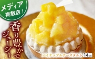 【着日指定 可能】パイナップルチーズタルト1ホール(14cm)【心優　－Cotoyu Sweets－】 [KAA391]