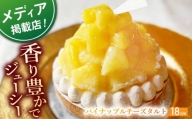 【着日指定 可能】パイナップルチーズタルト1ホール(18cm)【心優　－Cotoyu Sweets－】 [KAA397]