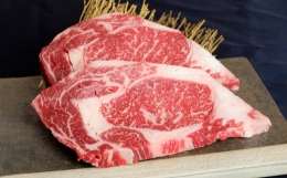 【ふるさと納税】【12ヶ月定期便】あか牛ステーキ 12種 極上 食べ比べ あか牛 合計約6.09kg タレ付き